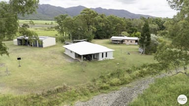 Property 77 Arthur Creek Road, Oakenden QLD 4741 IMAGE 0