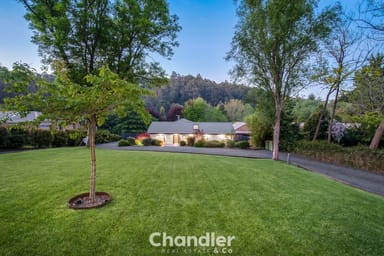 Property 38 View Road, The Patch VIC 3792 IMAGE 0