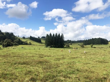 Property Tarzali QLD 4885 IMAGE 0