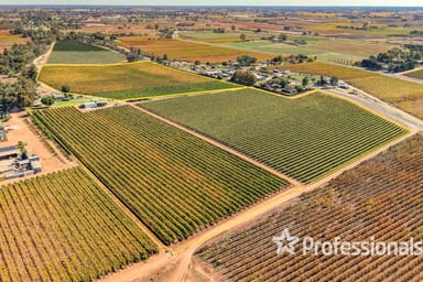 Property 225 Stewart Road, Red Cliffs VIC 3496 IMAGE 0