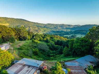 Property 364 Tomewin Mountain Road, CURRUMBIN VALLEY QLD 4223 IMAGE 0