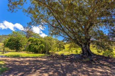 Property 792 Mooral Creek Road, STRATHCEDAR NSW 2429 IMAGE 0