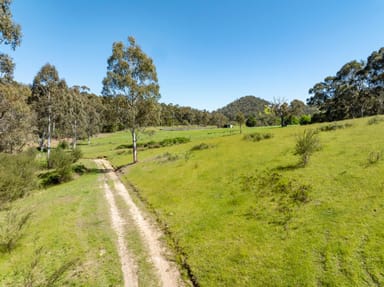 Property 3087 Mansfield-Woods Point Road, JAMIESON VIC 3723 IMAGE 0