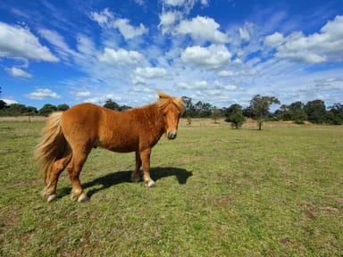 Property BOOIE QLD 4610 IMAGE 0