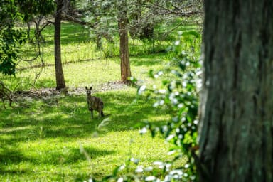 Property 12 Wollumbin Drive, URUNGA NSW 2455 IMAGE 0