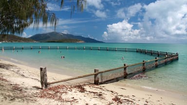 Property 55 Trochus Street, DINGO BEACH QLD 4800 IMAGE 0