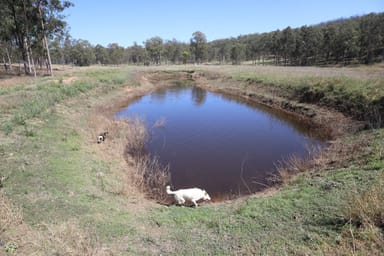 Property 117 Doonans Road, GRANDCHESTER QLD 4340 IMAGE 0