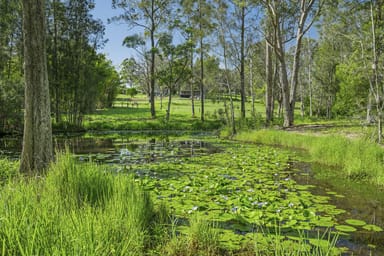 Property 45 Francis Conn Place, Frederickton NSW 2440 IMAGE 0