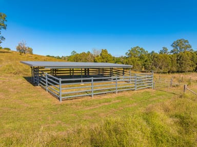 Property 81 Tatnell Rd, North Deep Creek QLD 4570 IMAGE 0