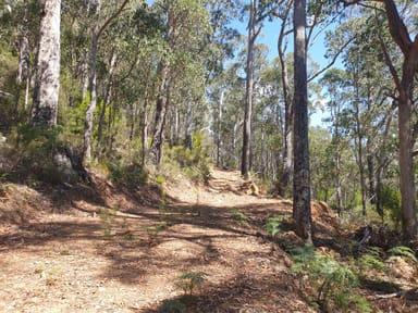 Property Lot 1 Halls Track Road, PELVERATA TAS 7150 IMAGE 0
