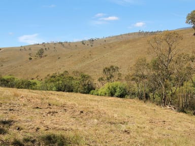 Property 1, 9320 Great Alpine Road, OMEO VIC 3898 IMAGE 0