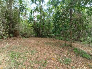 Property Lot 45 Ronald Road, Forest Creek, DAINTREE QLD 4873 IMAGE 0