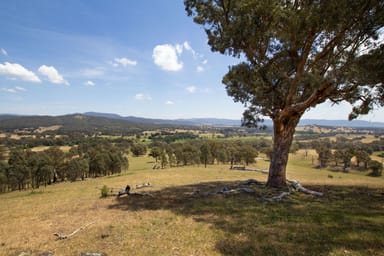 Property 2900 Samaria Road, Samaria VIC 3673 IMAGE 0