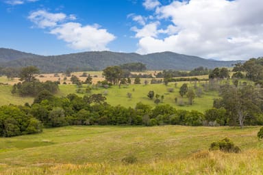 Property 87 Norries Road, BUNYAH NSW 2429 IMAGE 0