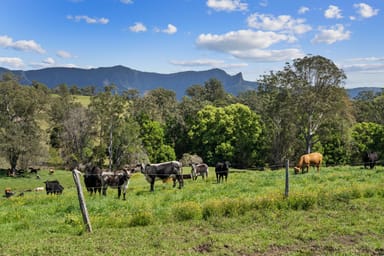 Property 703 Brays Creek Road, Brays Creek NSW 2484 IMAGE 0