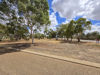 Property 4 Quadrant Street, Pingelly WA 6308 IMAGE 0