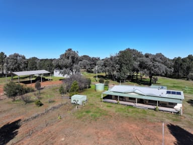 Property 'Belmont' 71R Maiala Road, EUMUNGERIE NSW 2822 IMAGE 0