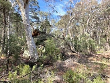 Property 150 Reedy Creek Rd, Rylstone NSW 2849 IMAGE 0