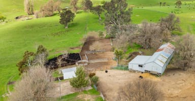 Property 242 Back Nacki Creek Road, Sharps Creek NSW 2729 IMAGE 0