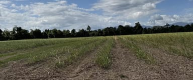 Property LOT 82 Gibbs Rd, Munro Plains QLD 4854 IMAGE 0
