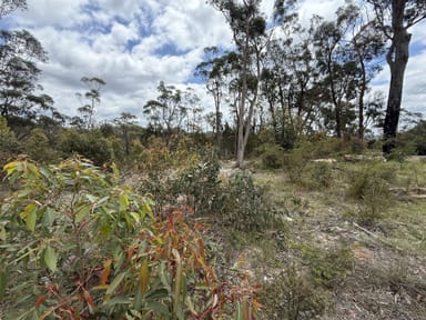 Property Lot 12,13 &amp; 14 Badgery Street, WILLOW VALE NSW 2575 IMAGE 0