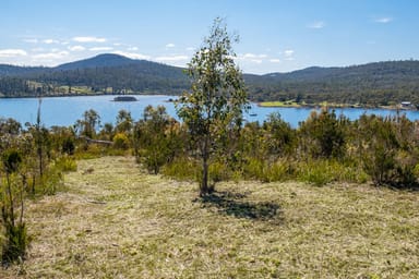 Property 24 Pahi Rise, Murdunna TAS 7178 IMAGE 0