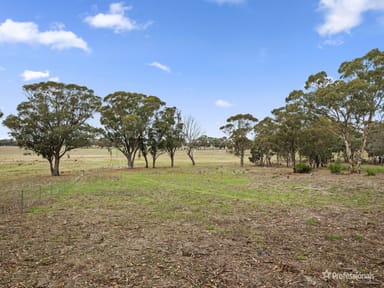 Property Lot 1, 26 Chaplins Road, Carisbrook VIC 3464 IMAGE 0