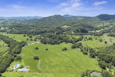 Property 981 Numinbah Road, CRYSTAL CREEK NSW 2484 IMAGE 0