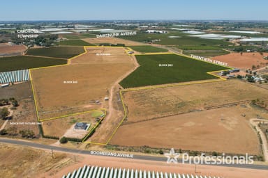 Property Lot 2 Twentieth Street, Cardross VIC 3496 IMAGE 0