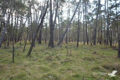 Property 121, Reserve Road, Sugarloaf QLD 4380 IMAGE 0