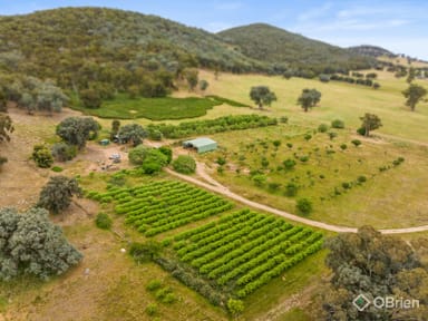 Property 354 Glenrowan-Moyhu Road, Glenrowan VIC 3675 IMAGE 0