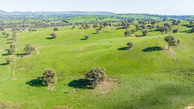 Property 13703 Hume Highway, Mullengandra NSW 2644 IMAGE 0