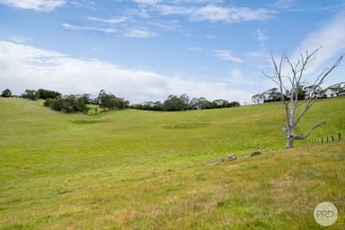 Property Lot 1 Flagstaff Ridge Road, LINTON VIC 3360 IMAGE 0