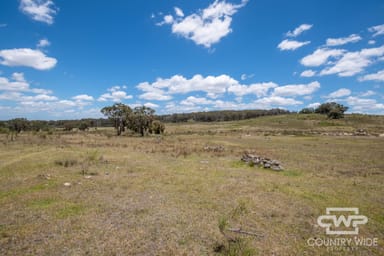 Property 95, 2202 Wellington Vale Road, EMMAVILLE NSW 2371 IMAGE 0