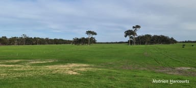 Property 2003 Settlement Road, Napier WA 6330 IMAGE 0