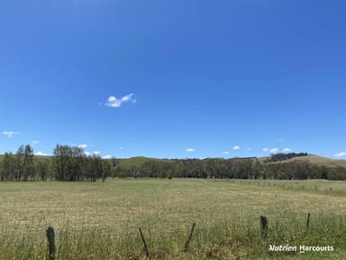 Property Lots 3 & 4 Newtons Road, CASTERTON VIC 3311 IMAGE 0