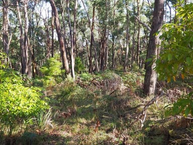 Property 3, Lot 3 Brewsters Road, YINNAR SOUTH VIC 3869 IMAGE 0