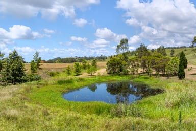 Property 703 Fosterton Road, Dungog NSW 2420 IMAGE 0