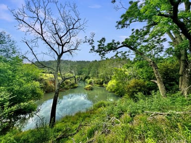 Property Wollombi NSW 2325 IMAGE 0