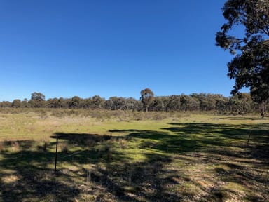 Property 18 & 19, Derby Road, CAMPBELLS FOREST VIC 3556 IMAGE 0