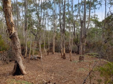 Property Lot 2, Brittains Road, GARDEN ISLAND CREEK TAS 7112 IMAGE 0