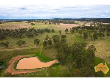 Property 850 Morgans Road, WINDERA QLD 4605 IMAGE 0