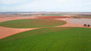 Property 2451 Lachlan River Road, Hillston NSW 2675 IMAGE 0
