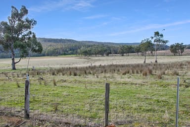 Property Lot 2, Rosedale Road, BICHENO TAS 7215 IMAGE 0