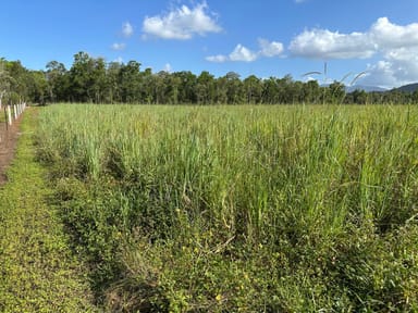 Property Lot 177 Bruce Highway, Bilyana QLD 4854 IMAGE 0