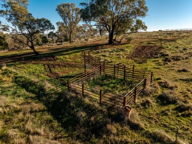 Property 2Church Street, Junee NSW 2663 IMAGE 0