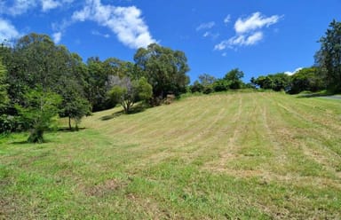 Property 99B TALLAI ROAD, TALLAI QLD 4213 IMAGE 0