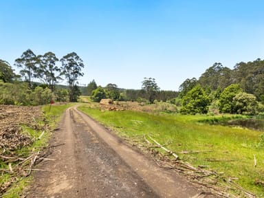 Property 165 Hiders Access Road, Yuulong VIC 3237 IMAGE 0