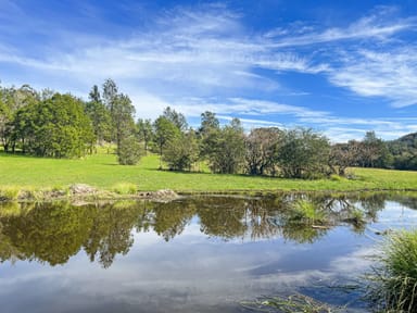 Property 19 Narone Creek Road, Wollombi NSW 2325 IMAGE 0