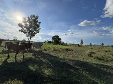 Property 4816 Arnhem Highway, Mount Bundey NT 0822 IMAGE 0